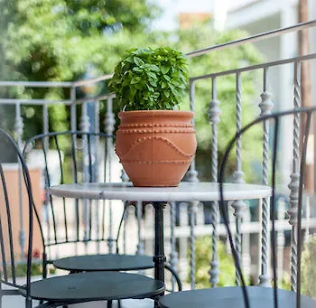 Apartament Despina *